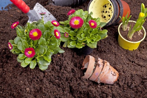 Professional grass cutting service in Cleaners SW20