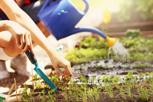 Beautiful garden with well-maintained plants and lawn