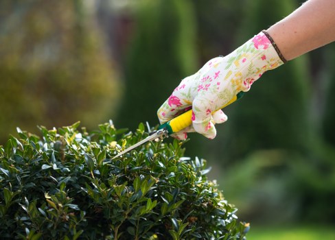 Clean driveway with professional cleaning service in Welling