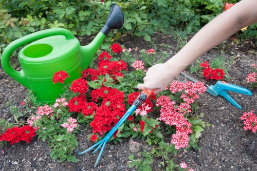 Clean driveway being pressure washed by professionals