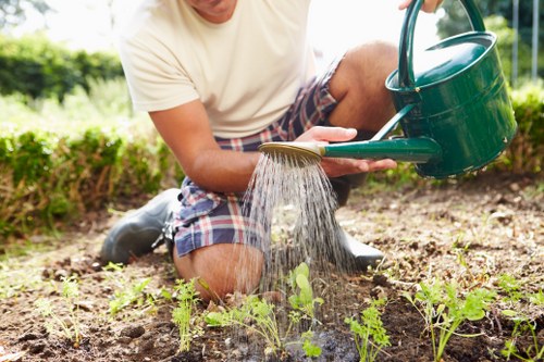 Professional garden maintenance equipment and tools