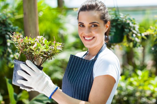 Environmental friendly cleaning products for driveways
