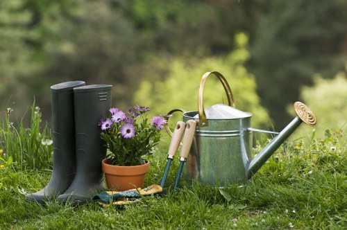 Lush green lawn after professional turf installation