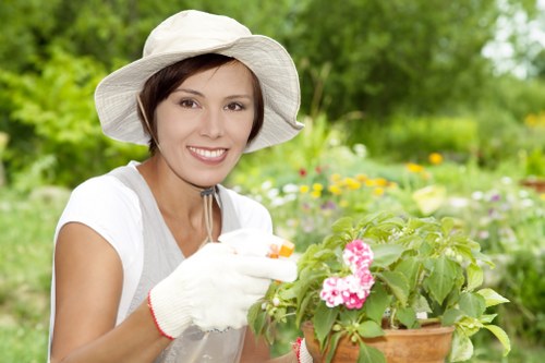 Driveway being treated with eco-friendly cleaners