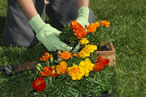 Electric and gas-powered hedge trimmers for different gardening needs