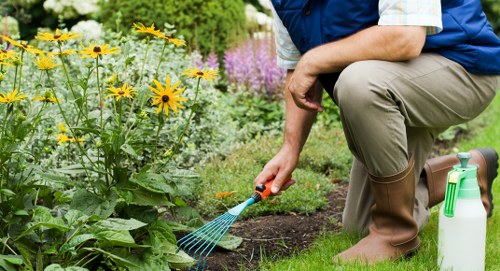 Team maintaining a tidy lawn