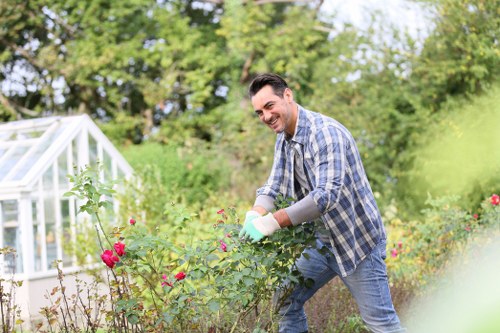 Eco-friendly driveway cleaning process in Tottenham
