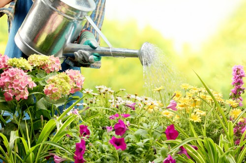 Lush backyard with native plants by Cleaners SW20 landscapers