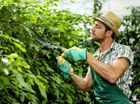 Eco-friendly driveway cleaning solutions