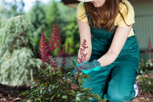 Experienced team of driveway cleaning professionals