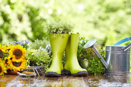 Driveway weed removal process