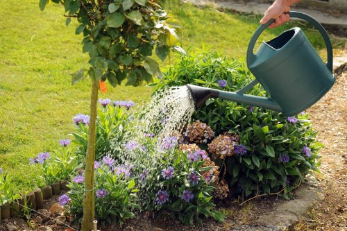 Eco-friendly driveway cleaning solutions applied at a Kentish Town home
