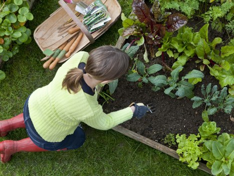 Wood chips produced from stump grinding used as mulch in a landscaped garden