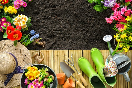 Professional landscapers designing a backyard