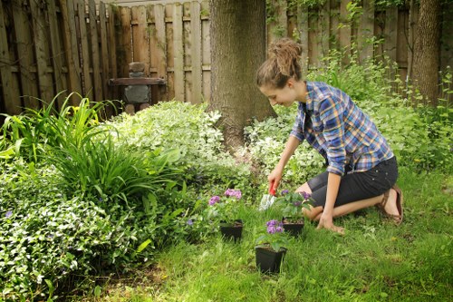 Safe and sustainable tree management in Cleaners SW20
