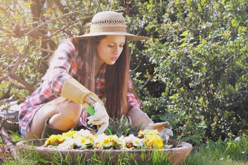 Various types of turf suitable for Cleaners SW20 climates