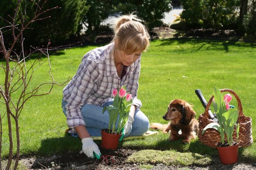 Team member applying eco-friendly cleaning solution