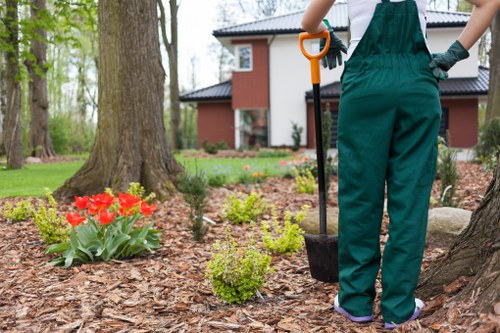 Expert driveway cleaning services