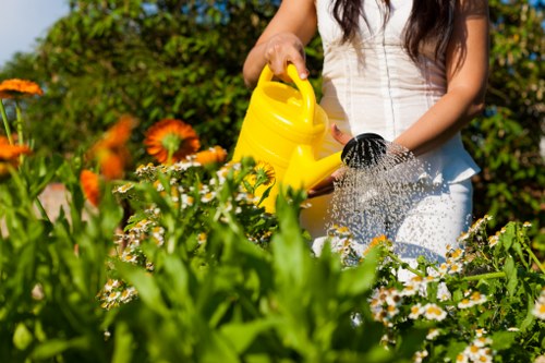 Choosing the right lawn mowing service provider in Cleaners SW20