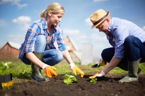 Professional landscapers working on outdoor space in Cleaners SW20