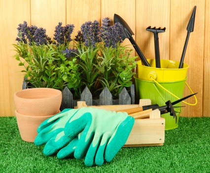 Professional driveway cleaning service