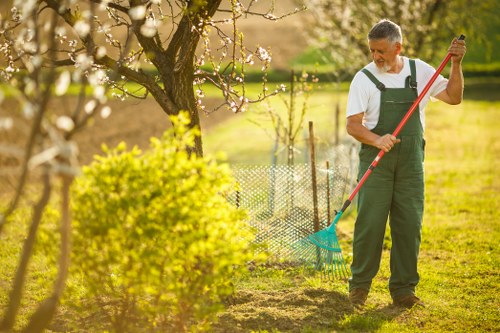 Expert lawn care services ensuring a healthy and beautiful lawn