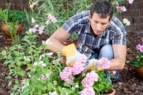 Eco-friendly driveway cleaning solutions in action