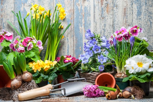 Eco-friendly driveway cleaning methods